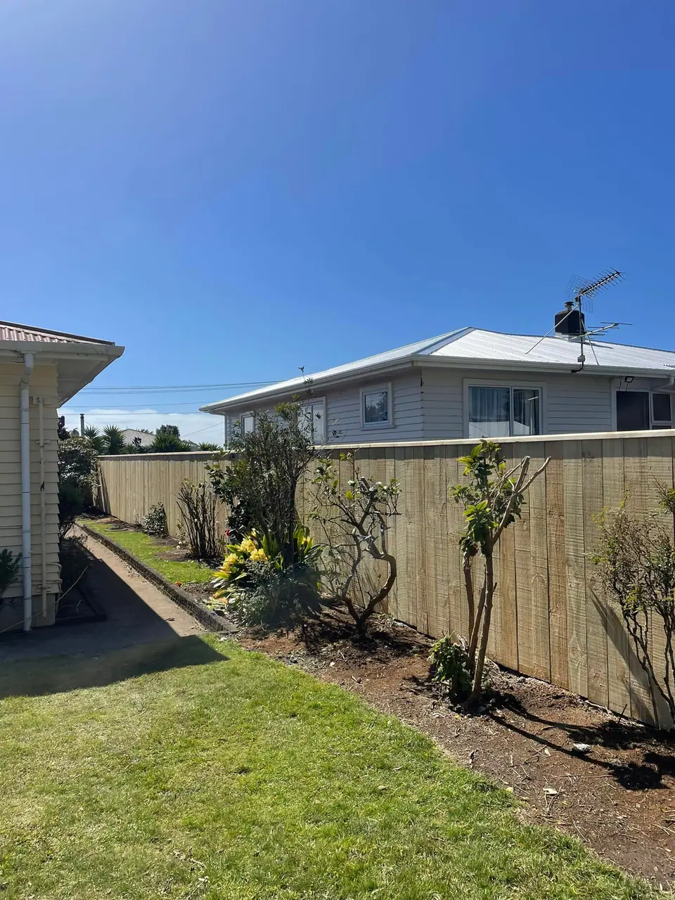 New timber paling fence along a back boundary